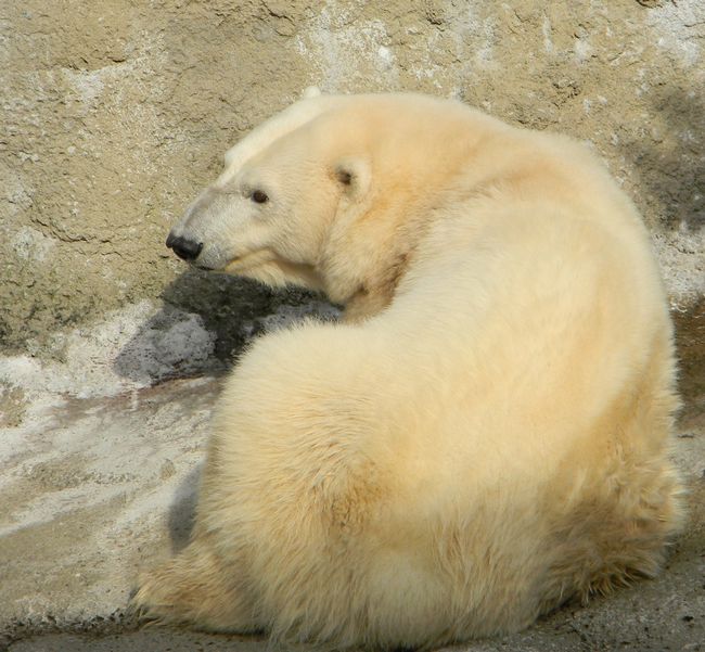 b0014576_6575510.jpg