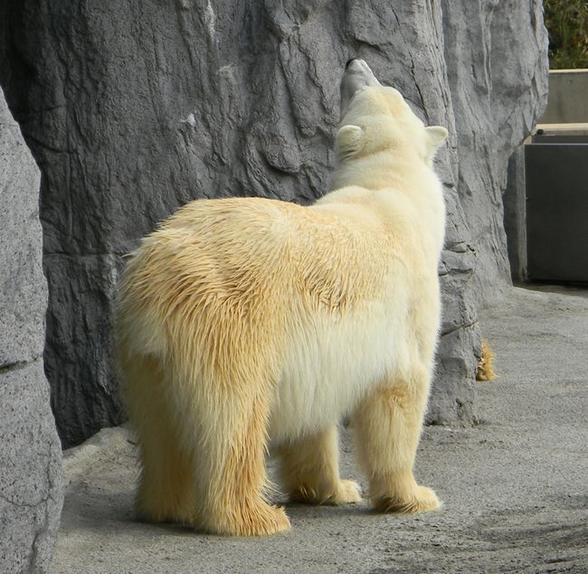 b0014576_6592960.jpg