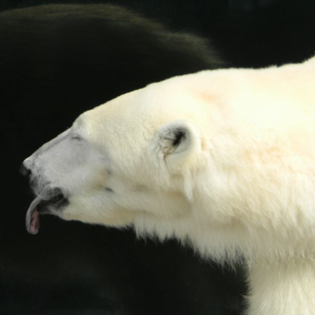 b0014576_714115.jpg