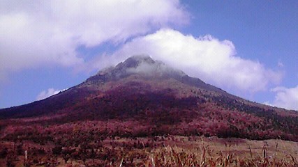 e0251278_14433880.jpg