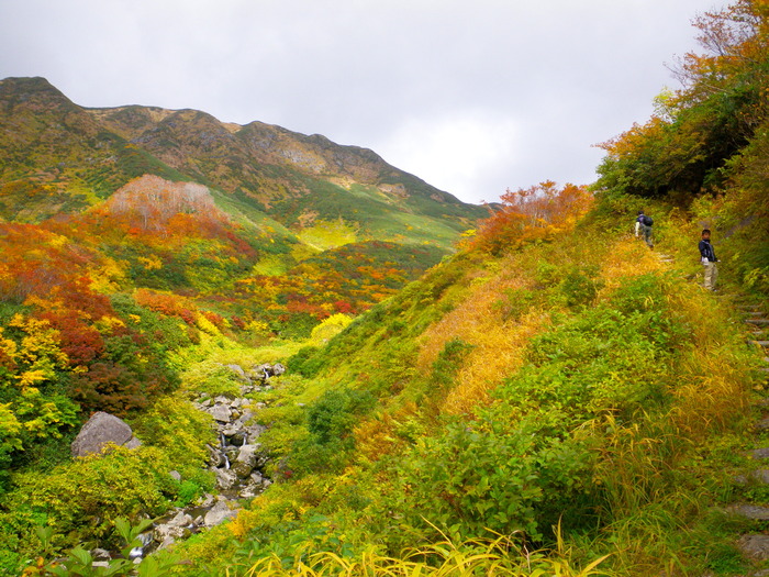 家族で登った姥ヶ岳 ～ ２０１１年１０月１２日_f0170180_18222942.jpg