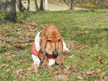 f0205887_2005940.gif