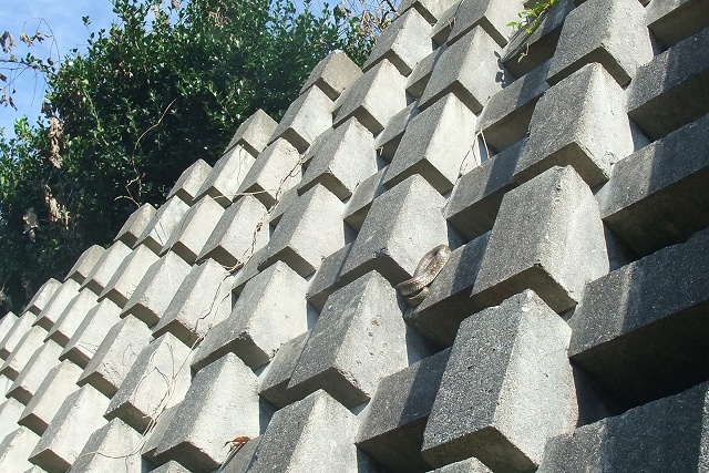 e0070891_18523123.jpg