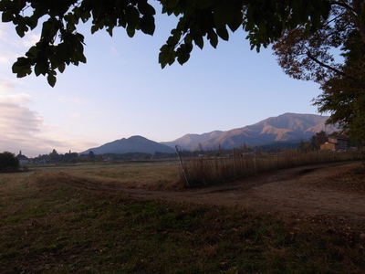f0226892_8594961.jpg