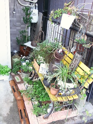 a0221895_834460.jpg