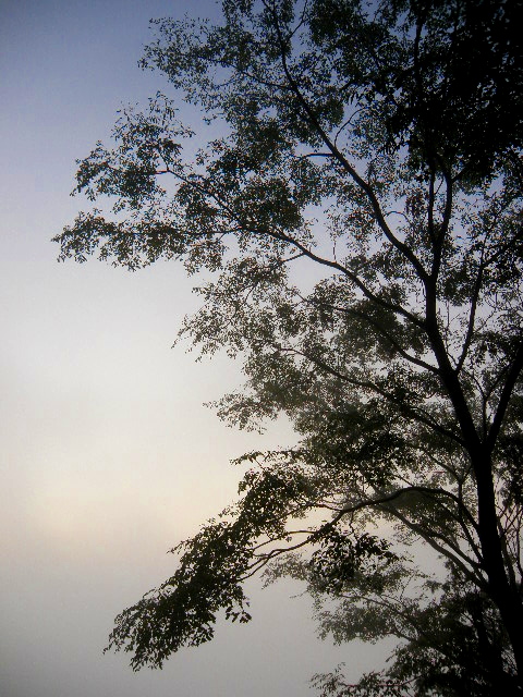 a0206496_051653.jpg