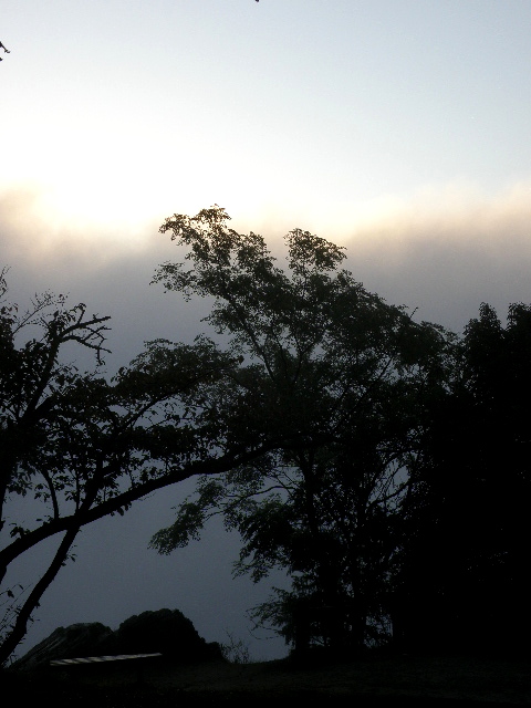 a0206496_0543284.jpg