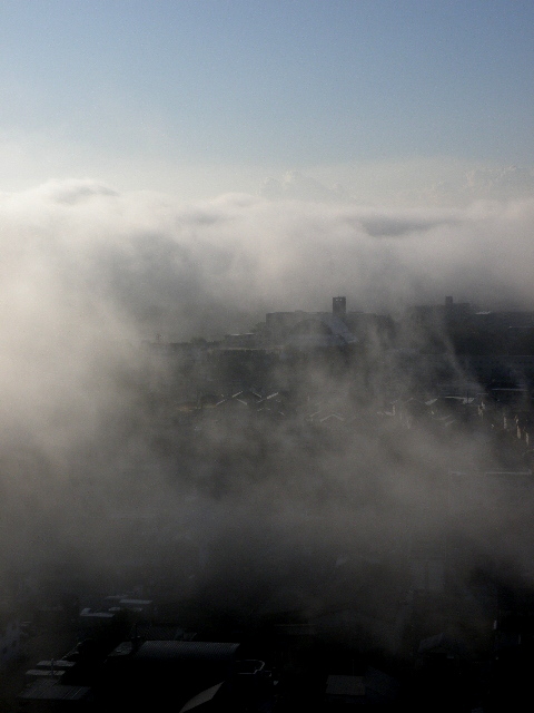 a0206496_0554538.jpg