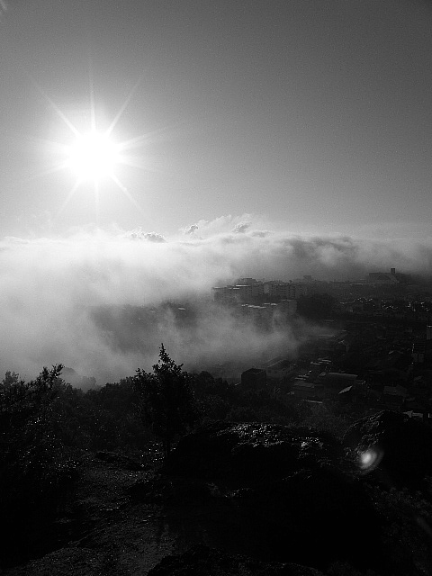 a0206496_0575132.jpg