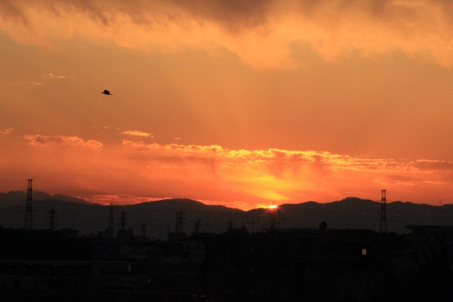 夕焼け小焼け 山と野と