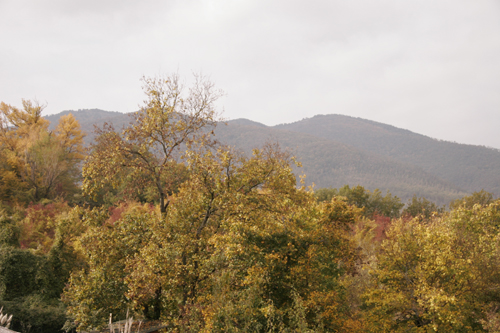 f0106597_20221289.jpg