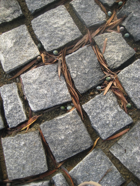 a0193698_19002.jpg