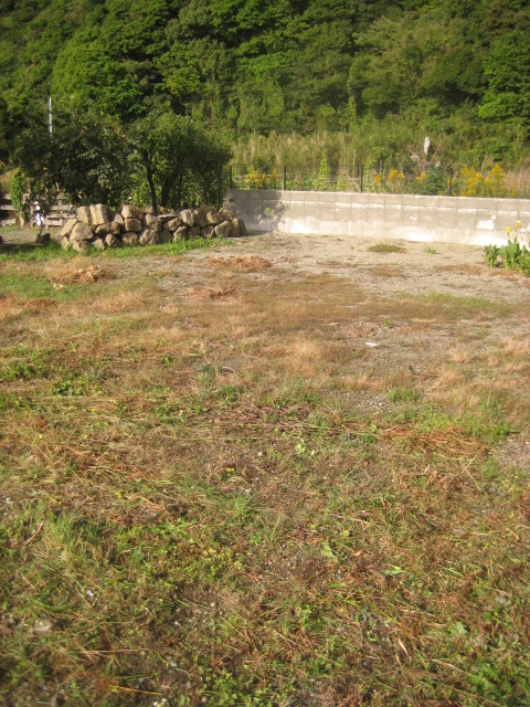 a0193698_1922024.jpg