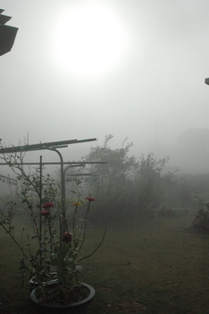 c0164598_8244737.jpg