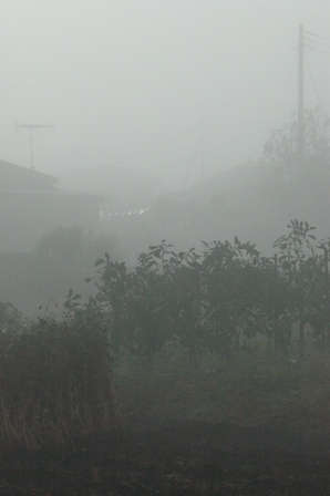 c0164598_8253291.jpg