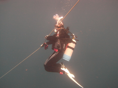 e0115199_2425218.jpg
