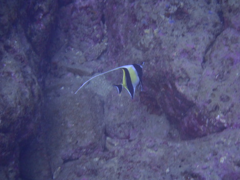 e0115199_2484376.jpg