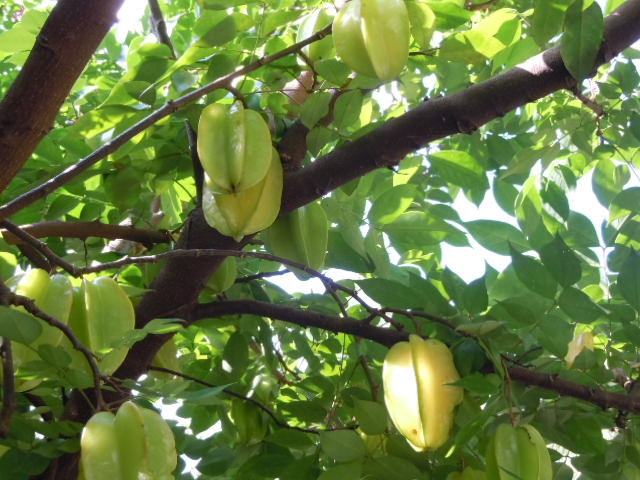 c0160600_13161144.jpg
