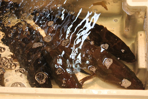 a0145901_08720.jpg