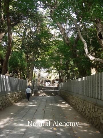 c0098304_2044519.jpg