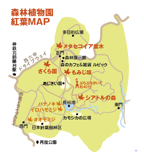 Richer11月号 紅葉マップ_c0141005_1735647.jpg