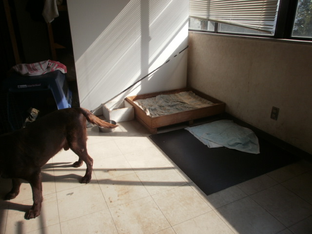 c0116610_17351343.jpg