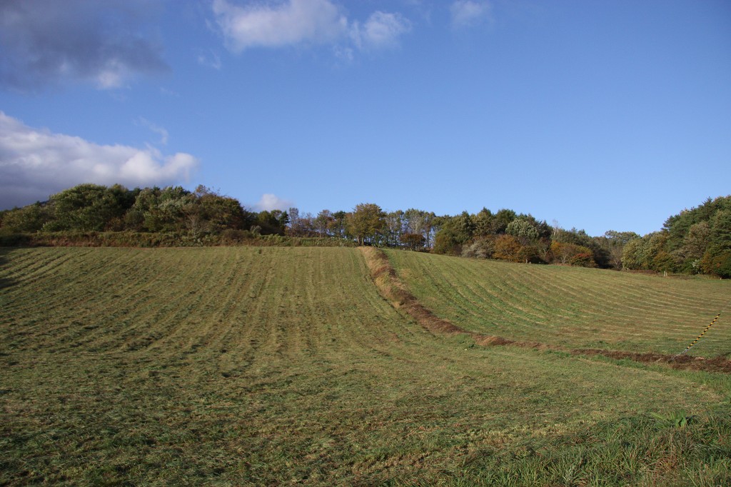 c0200810_22191247.jpg
