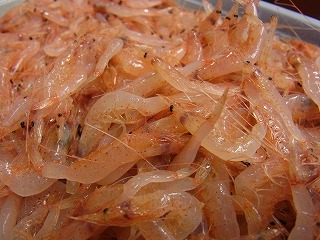 桜エビ 冬の陣!_f0157910_15211543.jpg