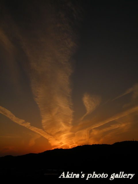 a0042211_16401358.jpg
