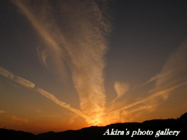 a0042211_1640574.jpg