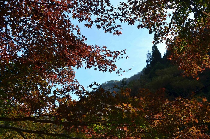 e0219011_20422281.jpg