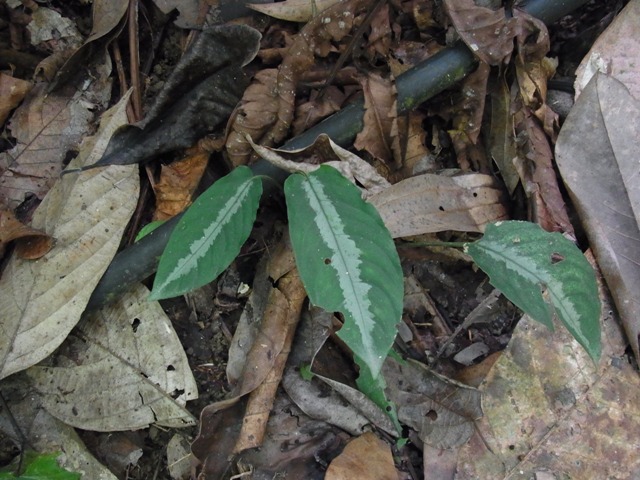 e0206818_2030585.jpg