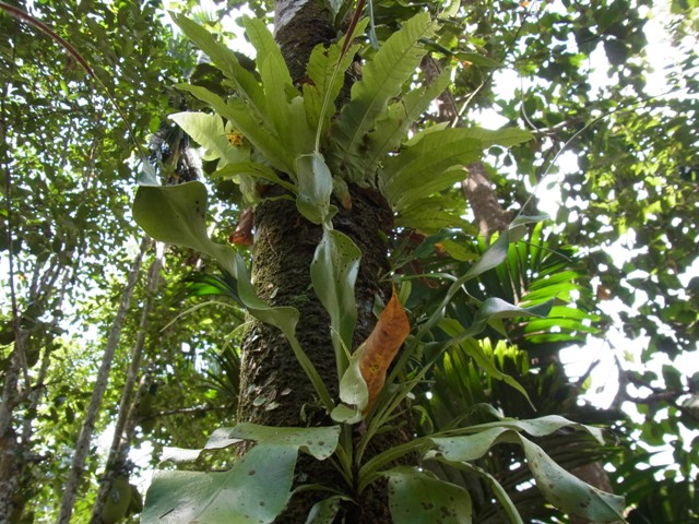 e0206818_20314372.jpg