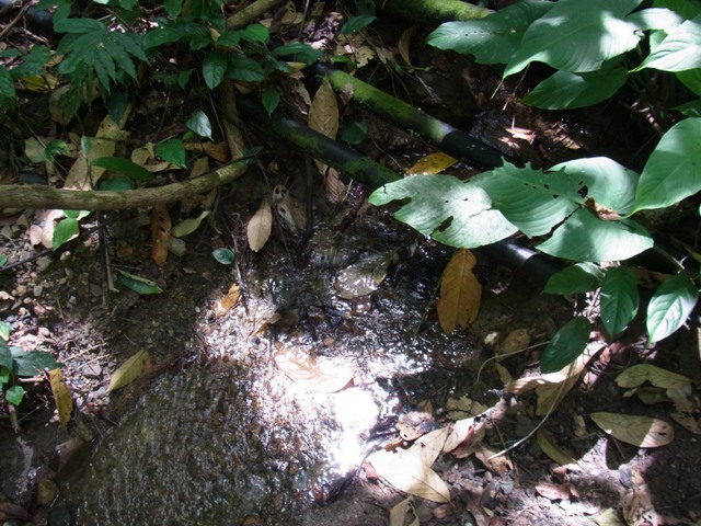 e0206818_20365134.jpg
