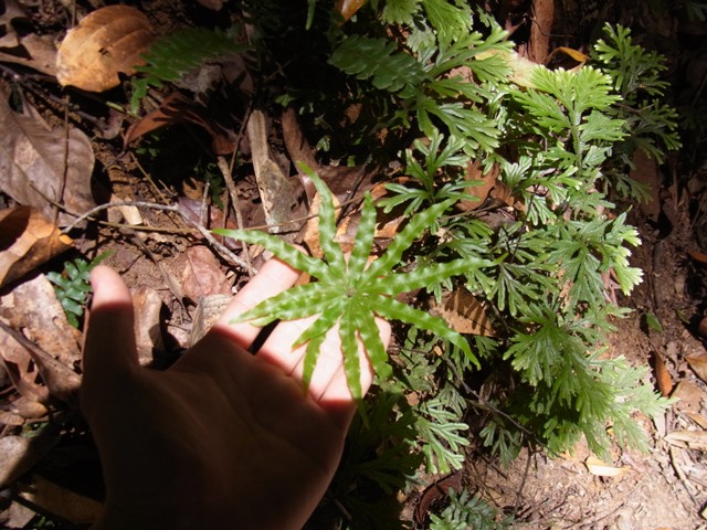 e0206818_20372445.jpg