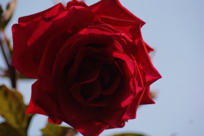 f0170524_17124727.jpg
