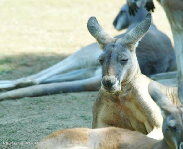 f0201226_2237149.jpg