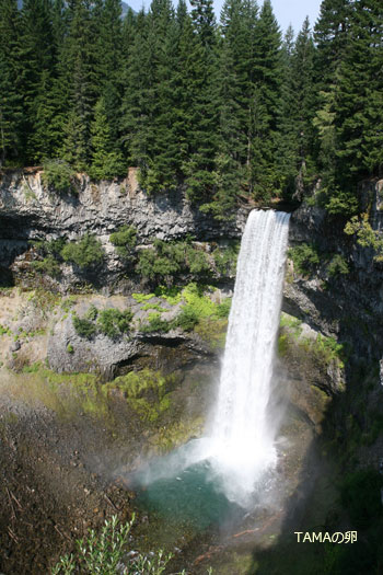 c0024729_20131752.jpg