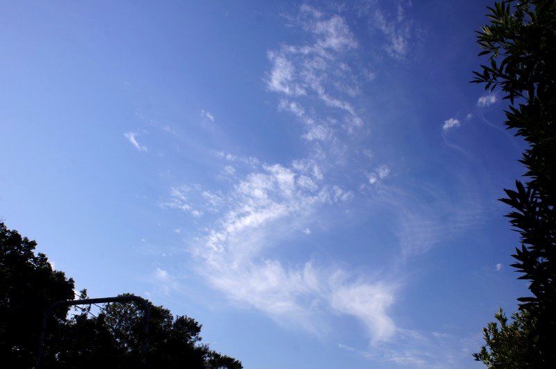 a0122932_143708.jpg