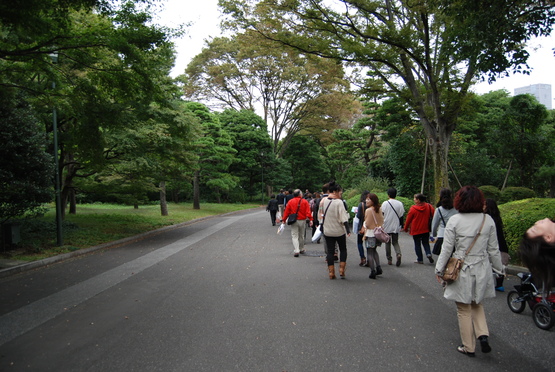 皇居内苑をあるく（「天皇の園芸」つづき）_b0117832_1454537.jpg