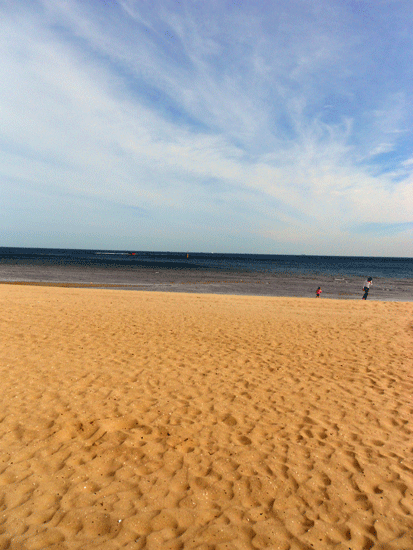 f0078132_1925853.gif