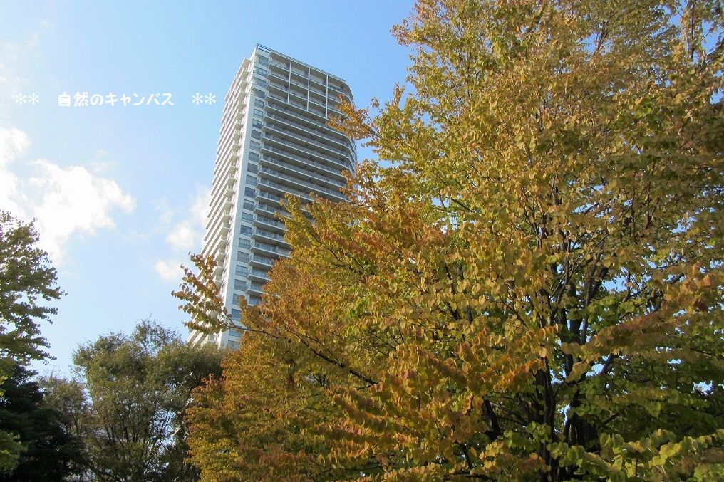 e0052135_22233336.jpg