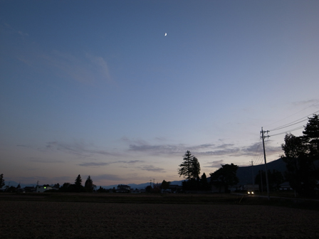 a0014840_012499.jpg