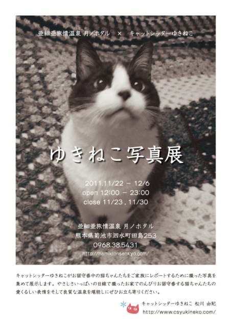 『ゆきねこ写真展』開催のお知らせ。_a0143140_22481616.jpg