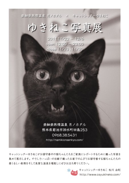 『ゆきねこ写真展』開催のお知らせ。_a0143140_22493736.jpg