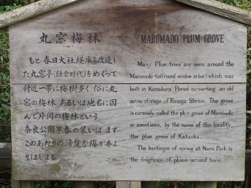a0216142_014750.jpg