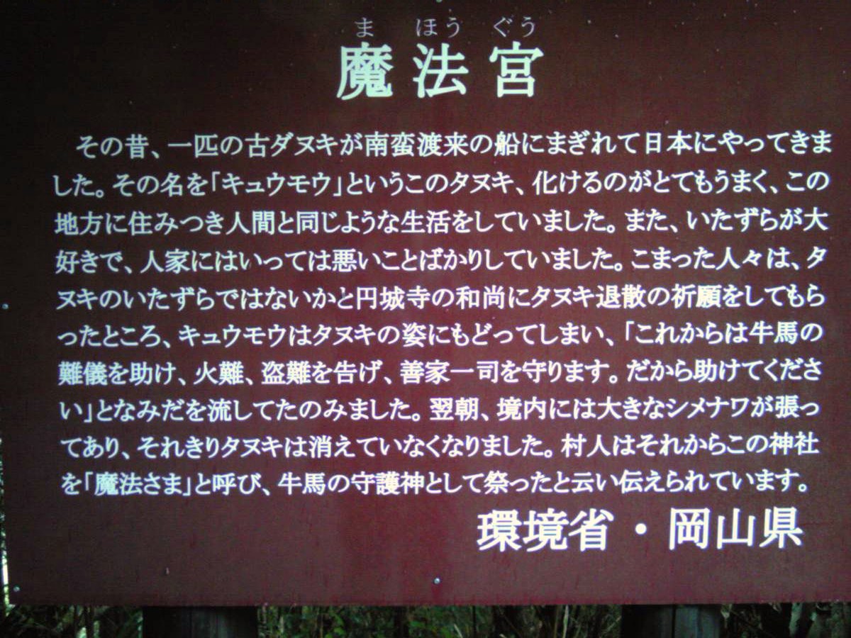 b0018242_0133366.jpg