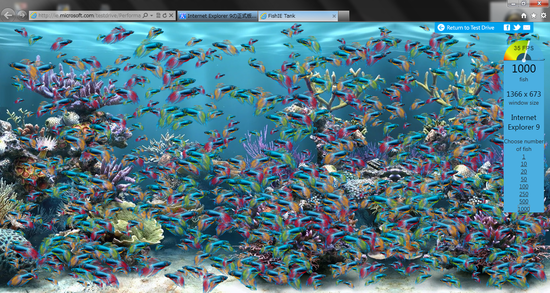 b0002644_103089.png