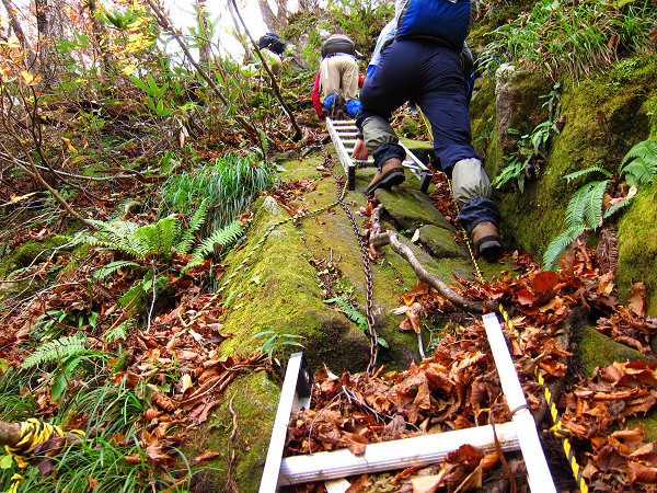 20111030_博士山_c0081645_0323020.jpg