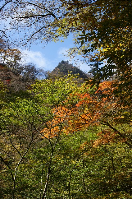 「裏英彦山道を歩く」（３）_f0201348_9585427.jpg